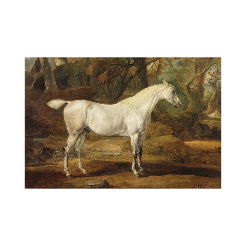 A Grey Arabian Stallion, The Property Of Sir Watkin Williams-Wynn, C.1815-20 by James Ward - Wrapped Canvas Painting