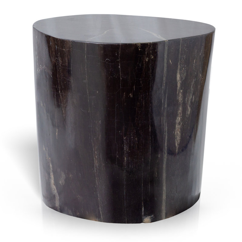 Fossil Relics End Table