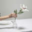 Lismore - Giftology Lead Free Crystal Table Vase