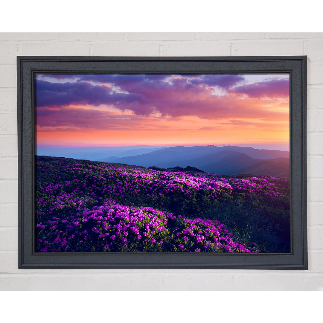 Purple Meadow Mountains - Einzelne Bilderrahmen Kunstdrucke