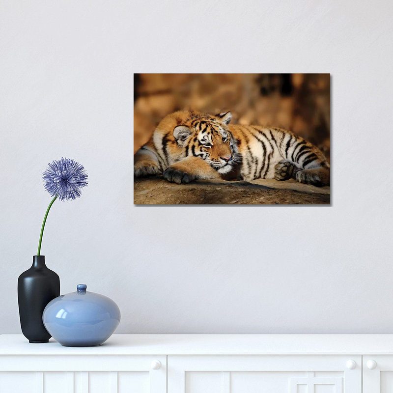 Tiger XII by Goran Anastasovski - Wrapped Canvas Print, 30.48 cm H x 45.72 cm W