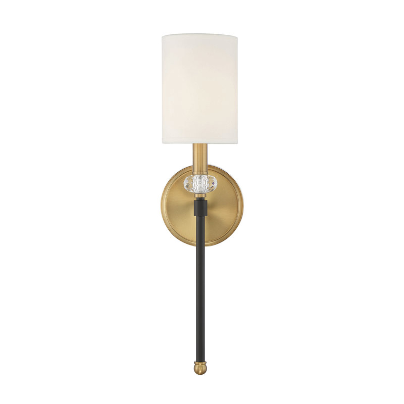 Gorje 1-Light Wall Sconce In Matte Black With Warm Brass Accents