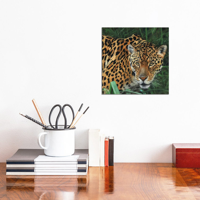 Jaguar Big Cat II by David Stribbling - Gallery-Wrapped Canvas Giclée on Canvas