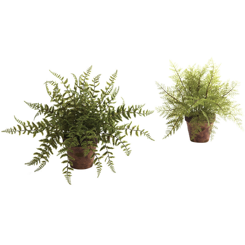 Ensemble de 2 plantes à fougère Charlack