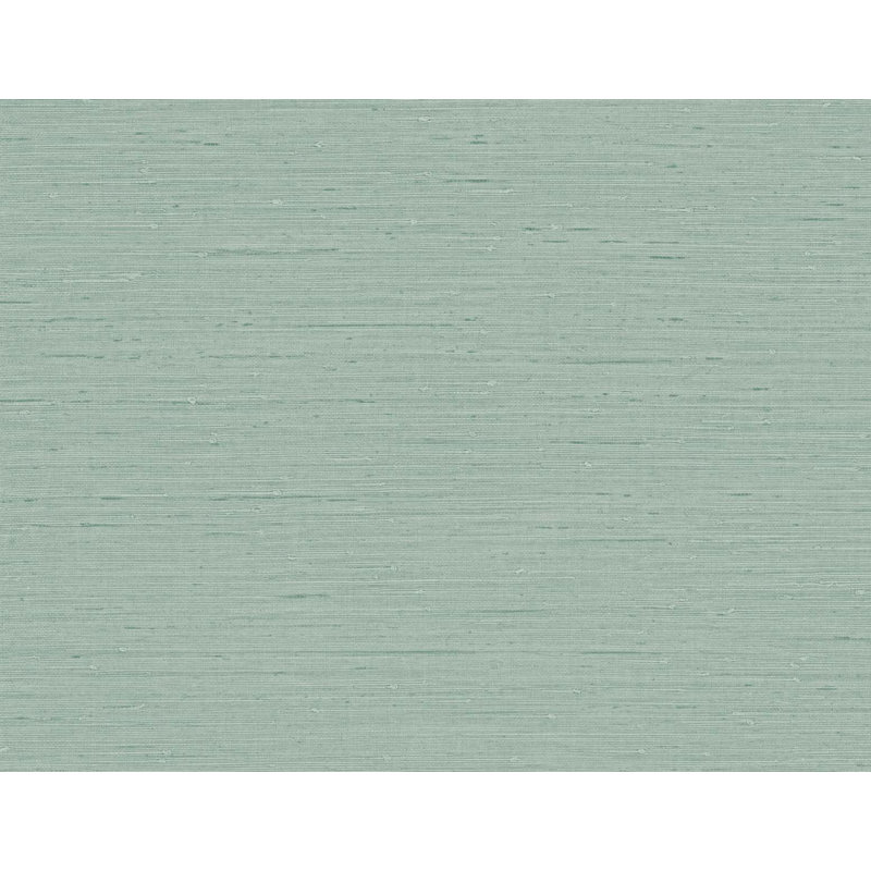 Rouleau de papier peint embossé 3D 2 pi 3 po x 27 po Designs Seahaven Rushcloth, Aloès