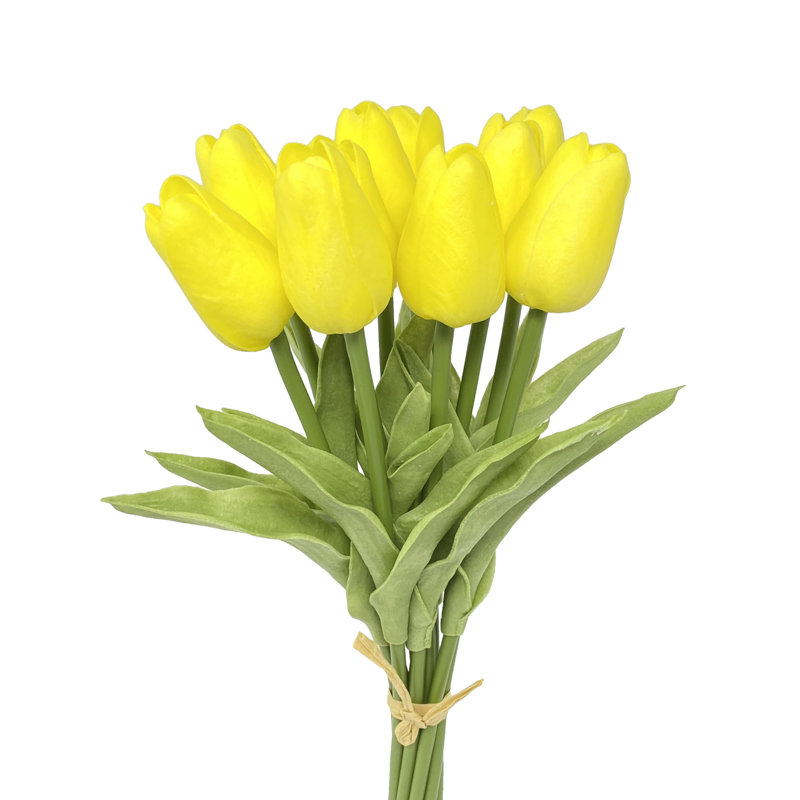 Polyether Polyurethane (PU) Arrangement, Yellow