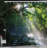 Shower Curtain-44324257