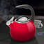 Chantal Anniversary 2 qt. Enamel on Steel Stovetop tea kettle-1820296523