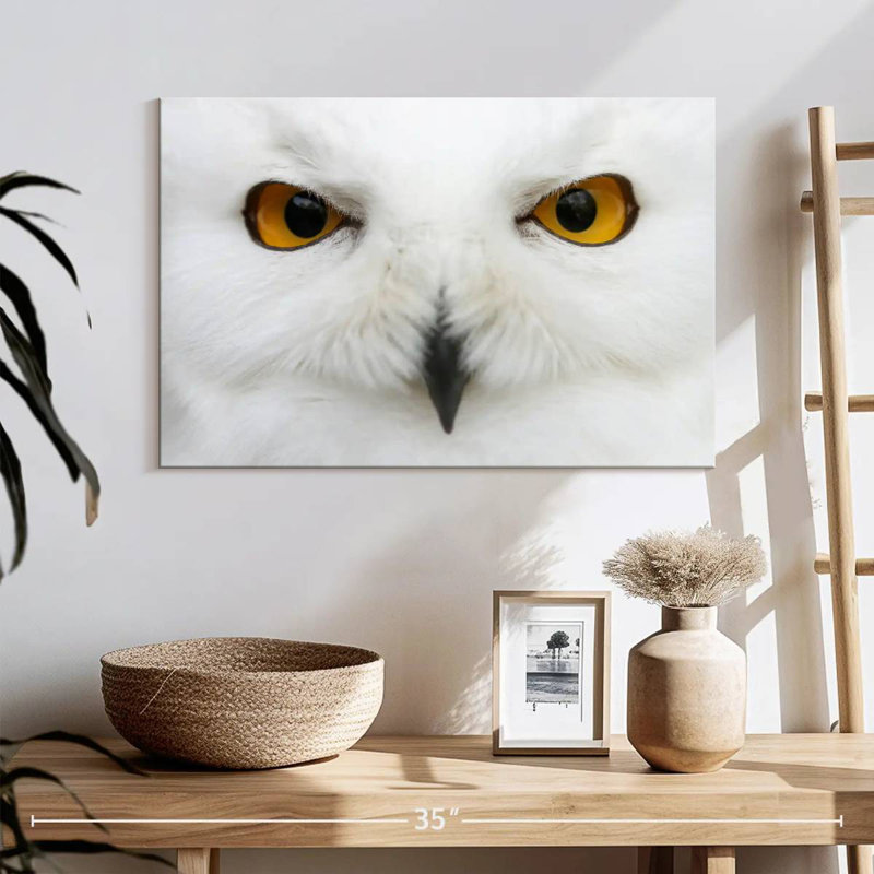 Brampt yeux de chouette des neiges, H 16 po x l 24 po