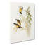 Australian Sunbirds by Elizabeth Gould - Wrapped Canvas Painting Pint - Wrapped Canvas-55367704