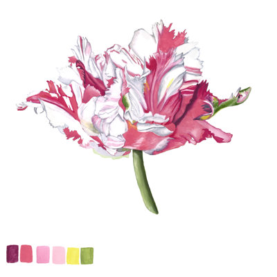 " Brighton Blooms V " by Naomi McCavitt
