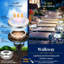 Matte Black Solar Powered Pathway Light Pack-133070334