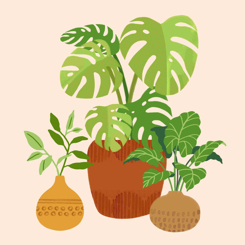 Happy Plants - peinture sur toile tendue, H 12 po x l 12 po