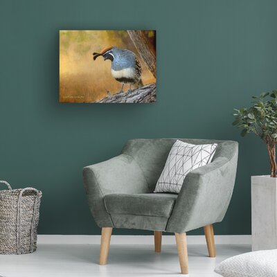 Chris Vest ''Male Quail'' Canvas Art -  Red Barrel StudioÂ®, 41209D01BC7C4DB9A6AB9C50040903DF