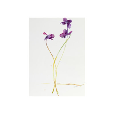 Bloom XIV Print