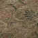Premium Machine Washable Dahl AMF1082 Damask Rug