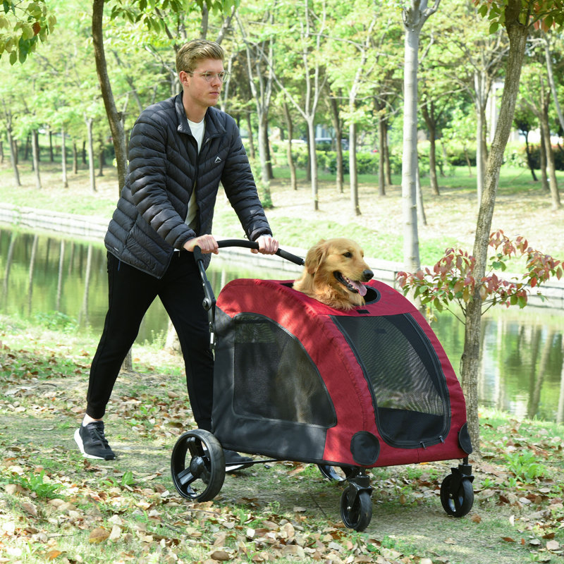 Pawhut Foldable Pet Stroller with Detachable Carrier