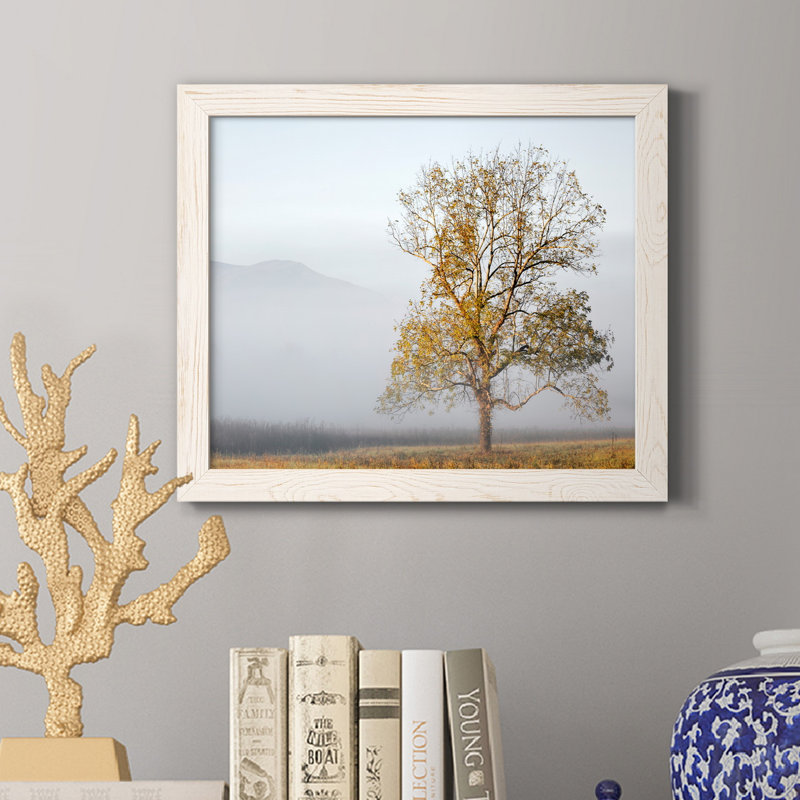 Cades Cove - Impression sur toile, H 24 po x l 18 po x P 1,5 po, Blanc