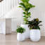 Pot de fleurs Dorlis Fiberstone-930299744-930299750