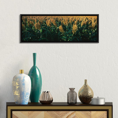 «Crop in the Field, Kansas, USA», reproduction de photo sur toile