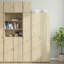 17 Stories Slim Storage Cabinet Engineered Wood-1070661426-1054902243