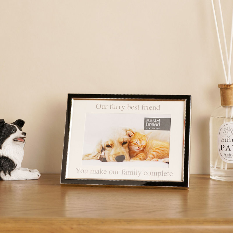 Silver Metal Picture Frame, 4" x 6"