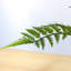 107cm Faux Fern Plant in Cement Pot