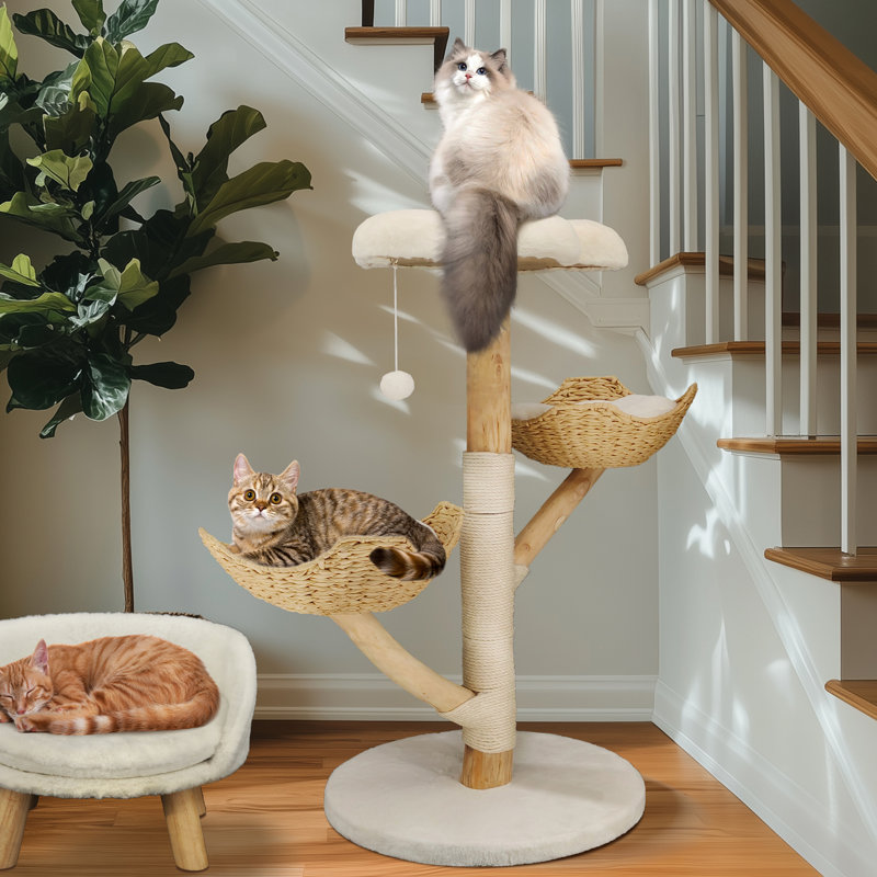 Alodie 111cm H Cat Tree