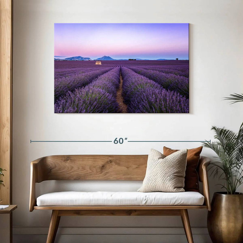 Champ de lavande d'Alvord en France, H 30 po x l 45 po
