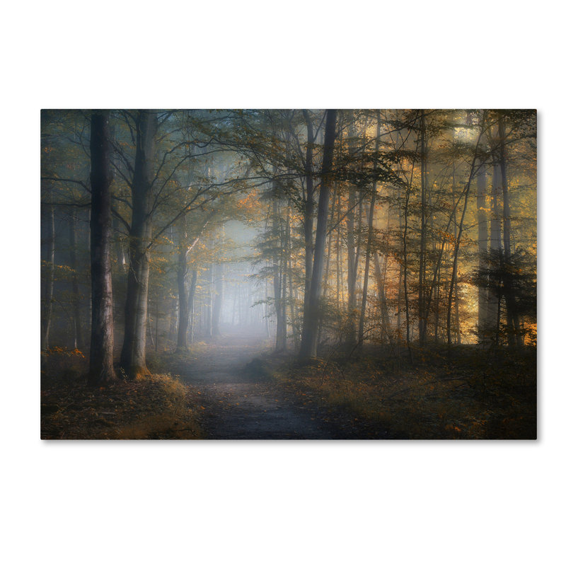 « automne symphony », reproduction de photo sur toile tendue, 16 po x 24 po