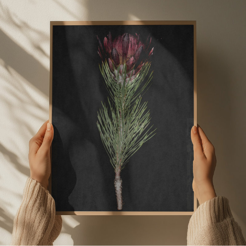 Wrapped Canvas Print, 50.8 cm H x 76.2 cm W