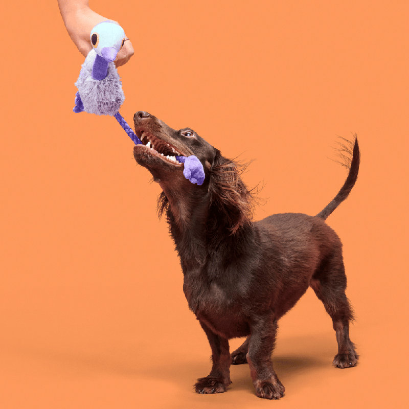 Australian Outbark Accessories