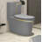Dual-Flush Gray Silent Anti-Odor Toilet (Seat Included)