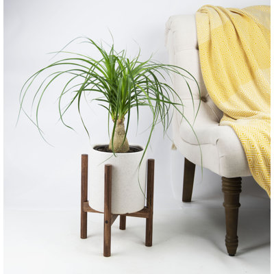 Pot de fleurs en céramique Klinger