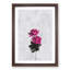 Two Pink Roses - Single Picture Frame Painting on MDF-56854508-56854510