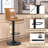 Halima Swivel Adjustable Height Counter Stool with Metal Frame-795950624-754172025