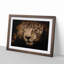 Jaguar Stalking Prey - Wall Art-55609828-55609829