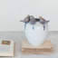 Ceramic Planter