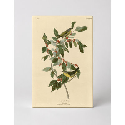 Nashville Warbler, Plate Lxxxix (1827-1838) - Portrait, art mural sur toile