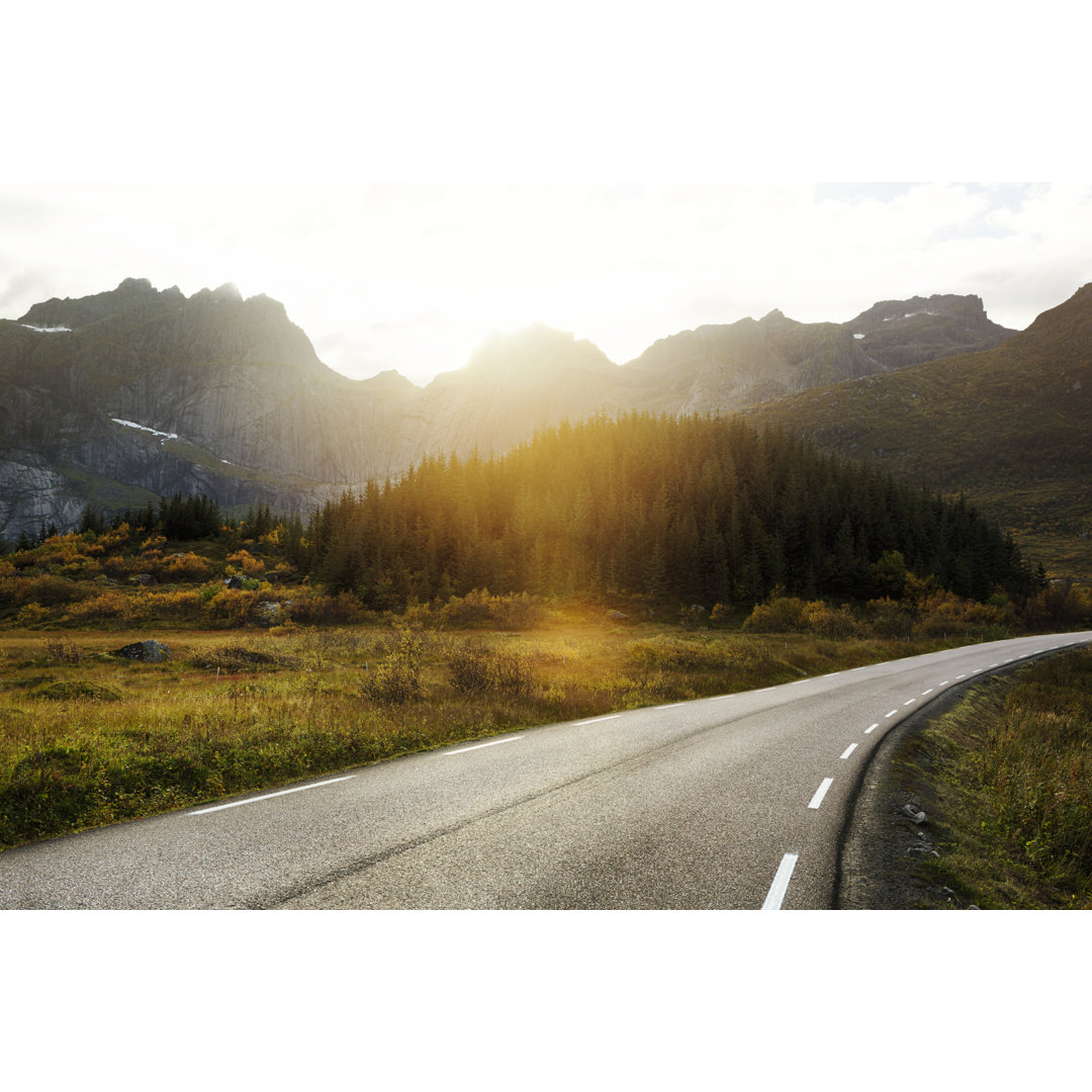 Straße auf den Lofoten Norwegens