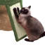 Saddlebrooke 106.5cm H Cat Tree