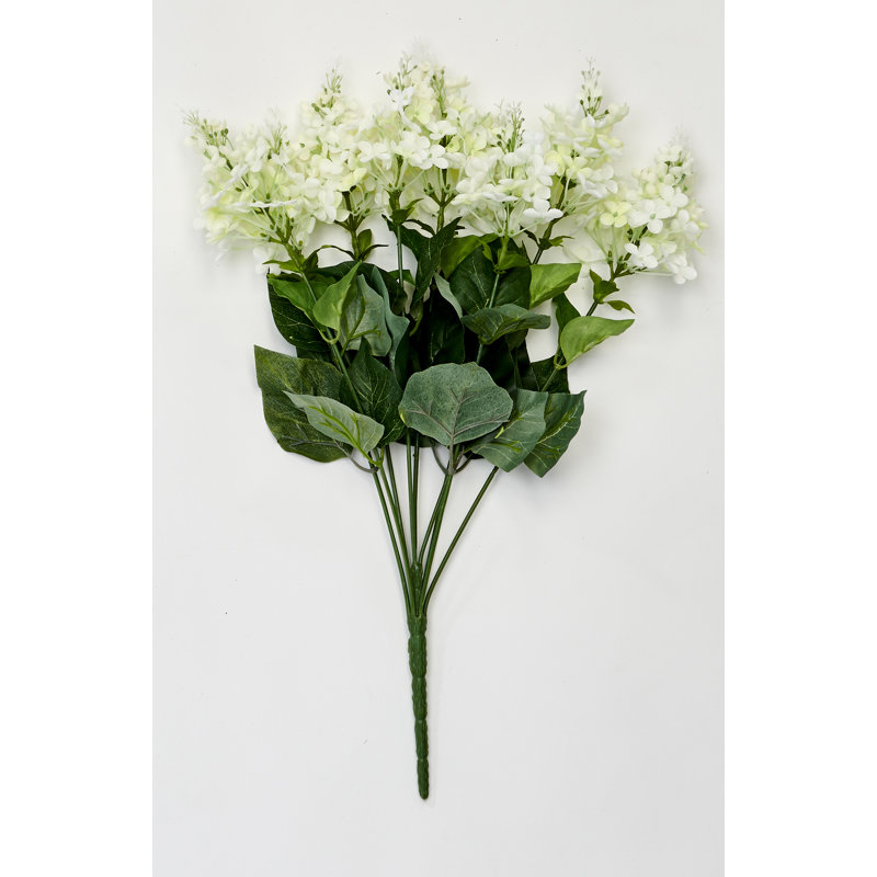 Bush, White