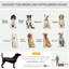 Misael Folding Fabric Soft Dog Cat Travel Pet Carrier-1515983086-1515983075