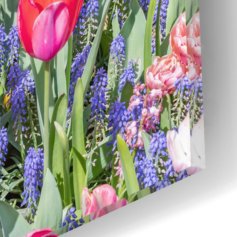 "Tulipes Kuekenhaus II" par Richard Silver, H 12 po x l 16 po x P 0,13 po