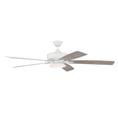 60'' Ceiling Fan with LED Lights