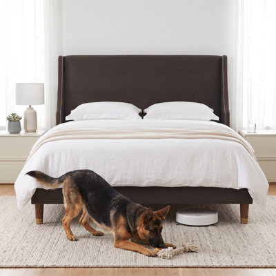 Melaya Elegant Wingback Upholstered Platform Bed Frame – Luxurious Design with Gold Piping, Sturdy Support, and Easy Assembly in Full & Queen Sizes