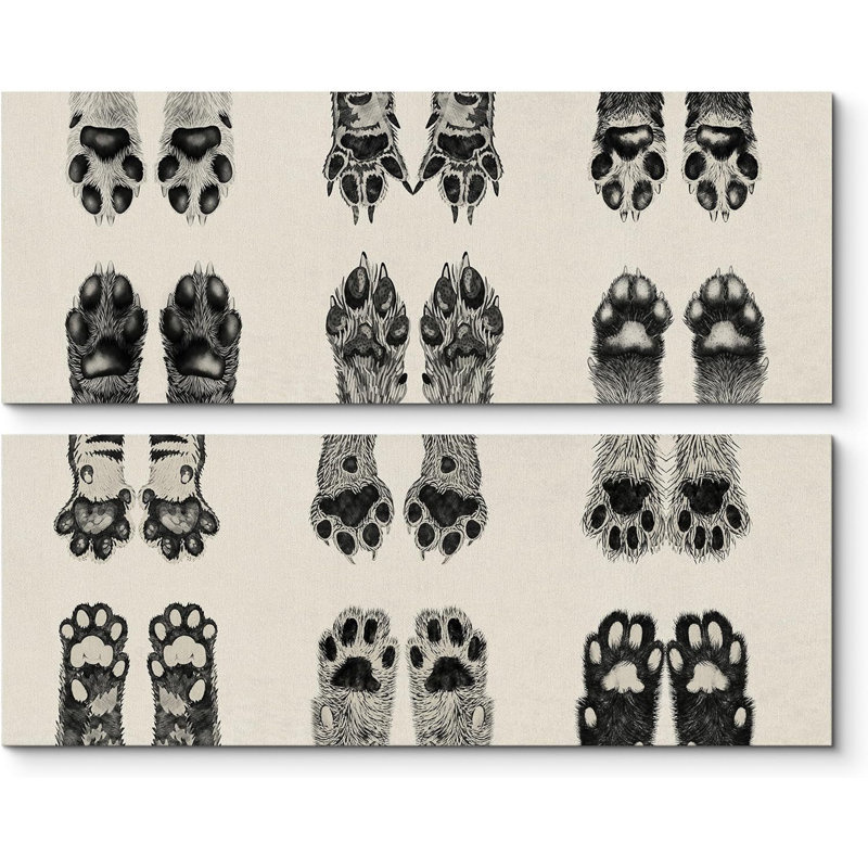 Animaux, mignon, chien et chat, pattes, collage - photos d'animaux, décor neutre sur toile