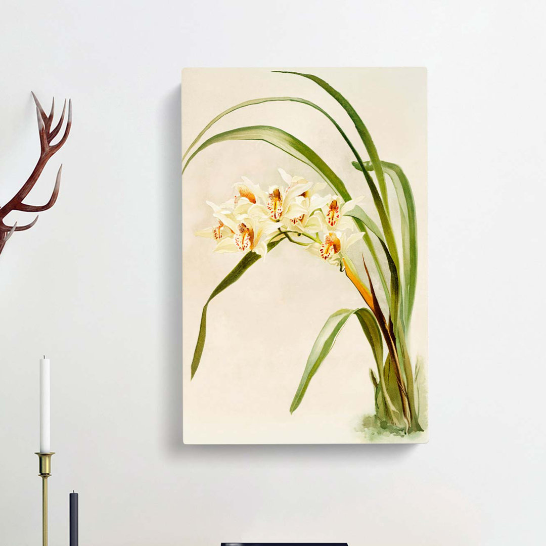 Magnolia Flowers Illustration Tab. 75 by Frederick Sander - Wrapped Canvas