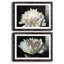 ALL AFLUTTER - ensemble de 2 reproductions-1761994155-1761994156-1778156556