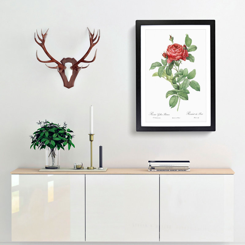 Red Gallic Roses by Pierre-Joseph Redoute - Picture Frame Painting Print, 48cm H x 36cm W x 2cm D, Black Framed